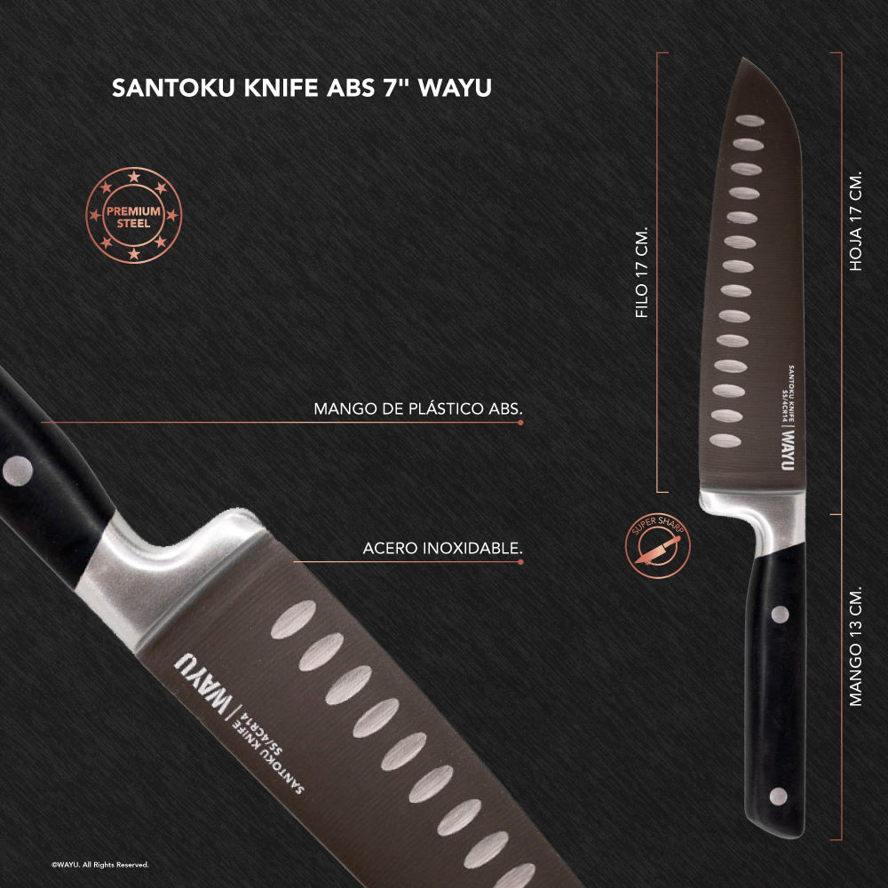 Santoku Knife Abs 7