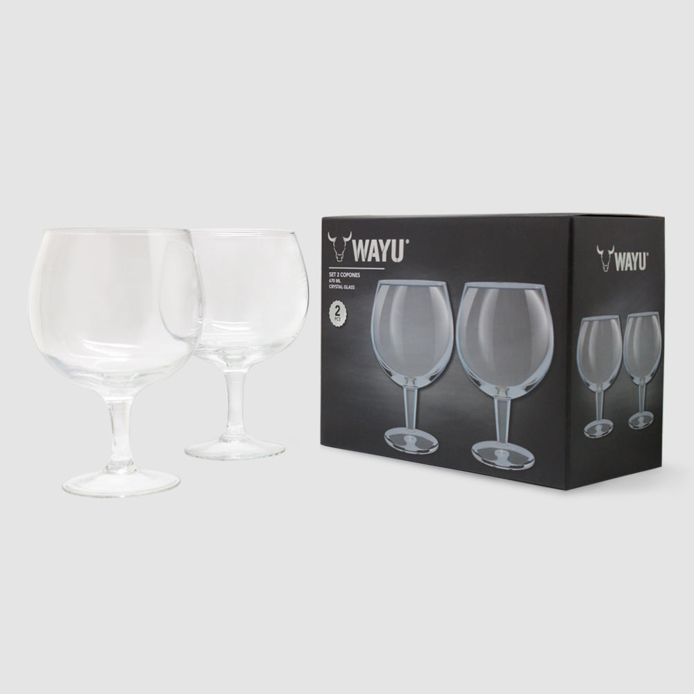 
                  
                    Set 2 Copones Cerveceros Wayu
                  
                