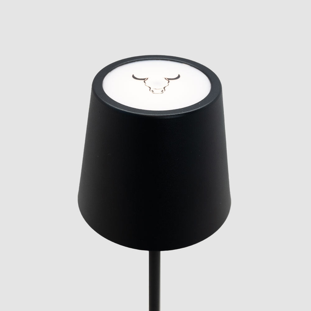 
                  
                    Lámpara Quincho con Cargador USB Wayu
                  
                