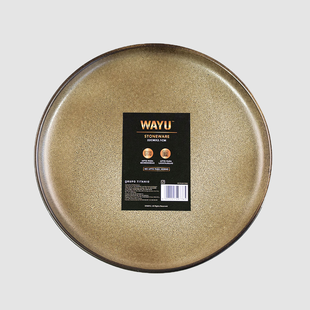 
                  
                    Plato 21 Cm Cerámica Gres
                  
                
