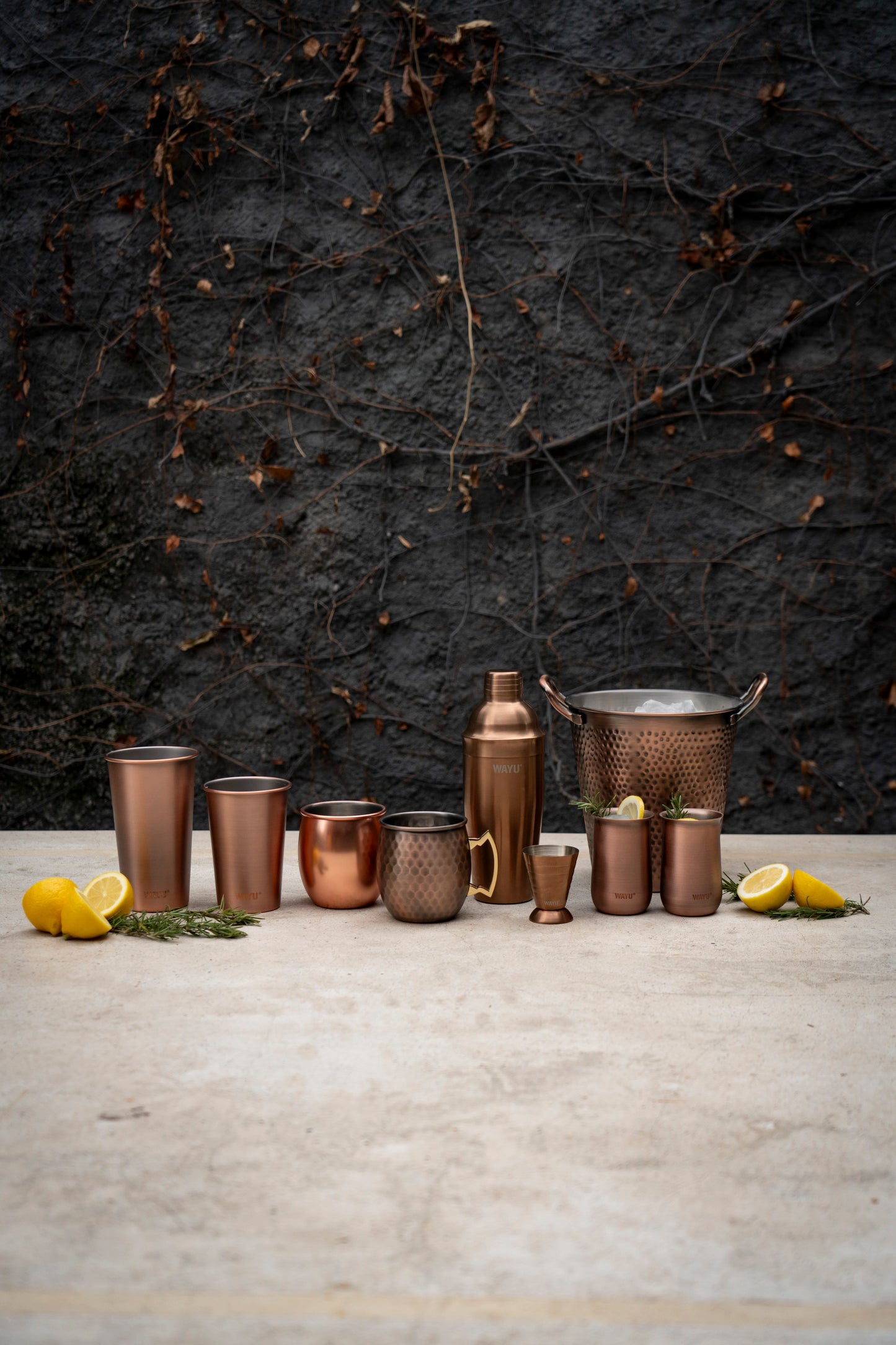 
                  
                    Set Medidor + Cuchara Copper Line Wayu
                  
                