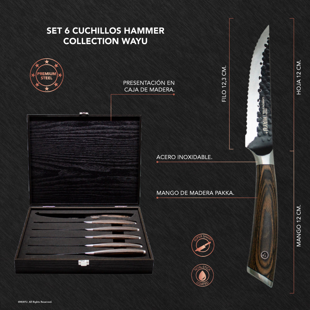 
                  
                    Set 6 Cuchillos Hammer
                  
                