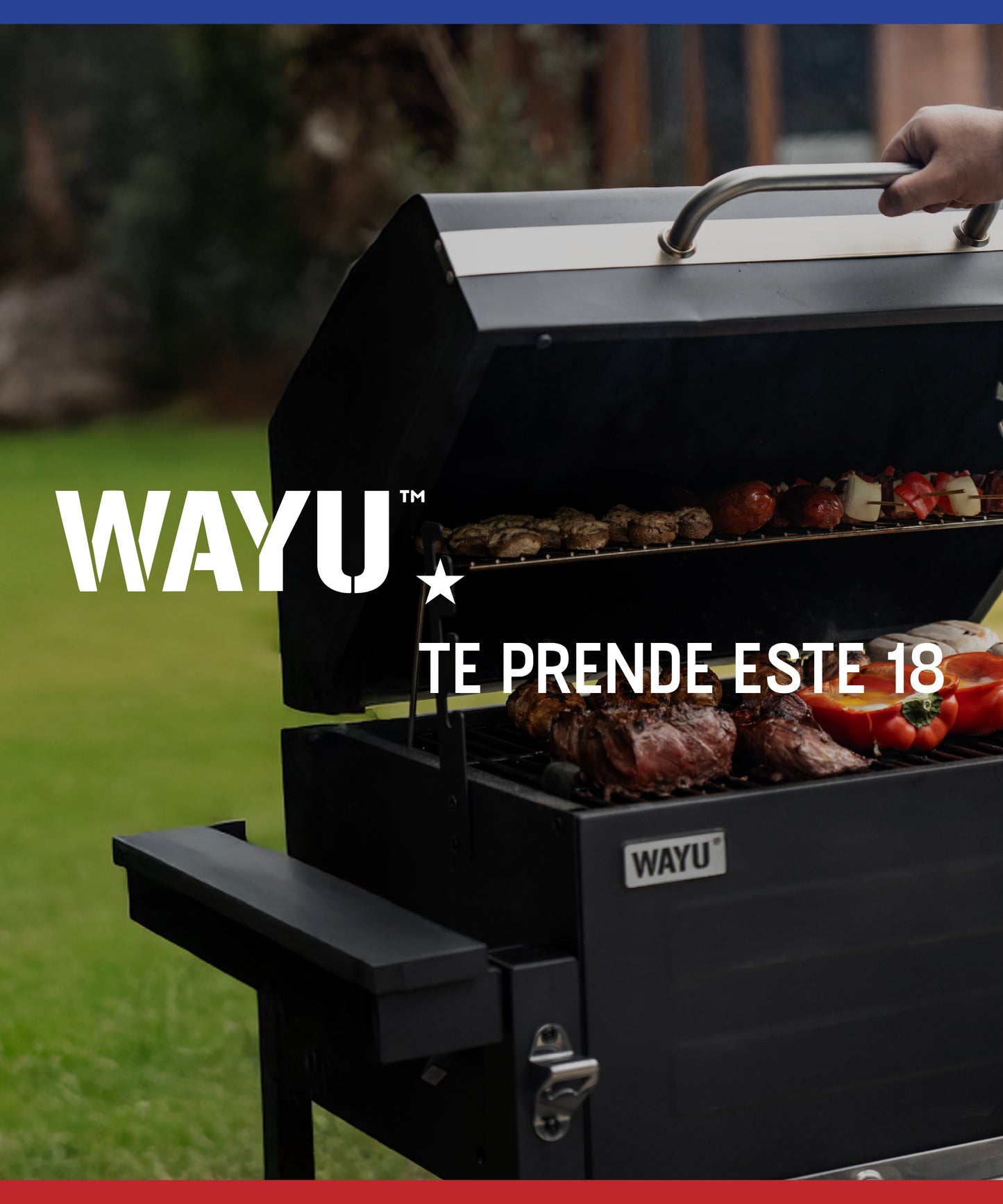 Wayu cl